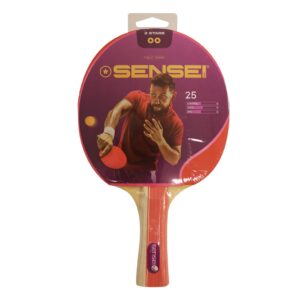 PALETA PING PONG 2*