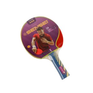 PALETA PING PONG *3
