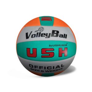 PELOTA VOLEY COCIDA