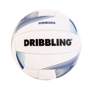PELOTA VOLEY CLASSIC 1.0